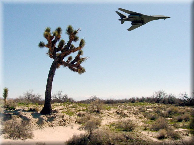 B-1B