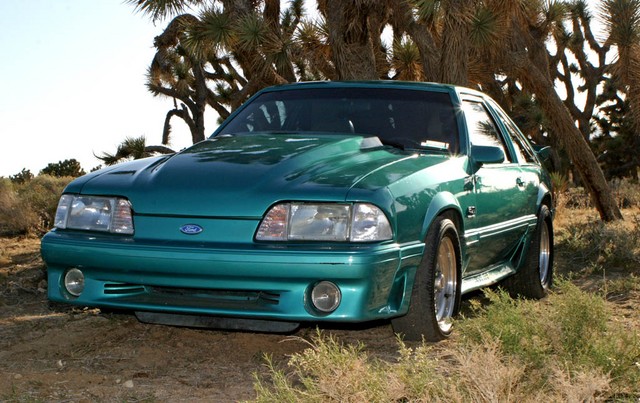 Garrett's Mustang 5.0