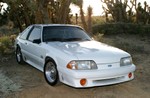 Art's Mustang 5.0