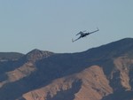 IMG 6535