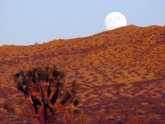 Moonrise over the Desert