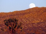Moonrise over the Desert