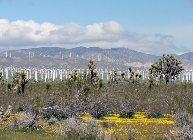 Windmills in Mojave, California